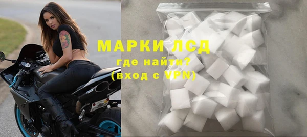 spice Бородино