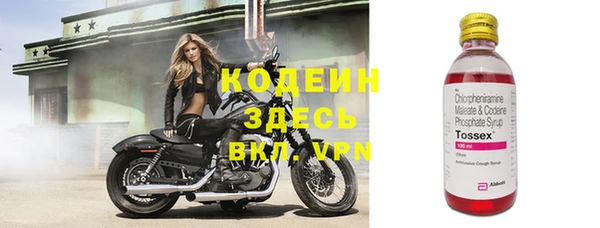 spice Бородино