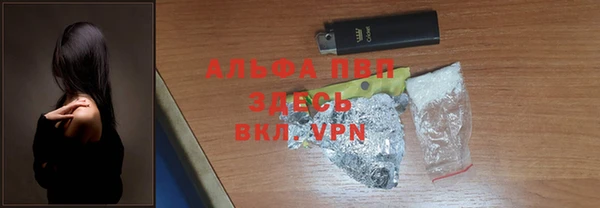 spice Бородино