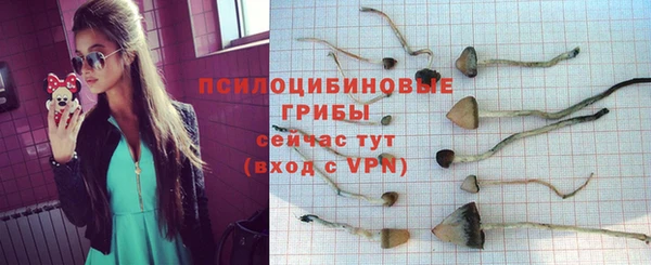 гашишное масло Богородицк
