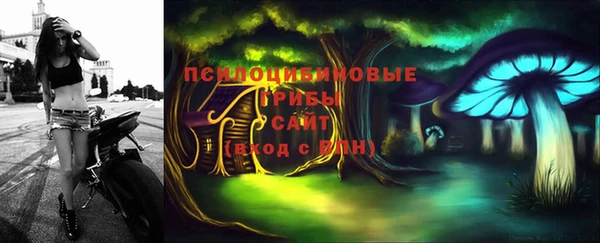 spice Бородино